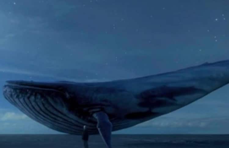 Safety Alert: Blue Whale Challenge