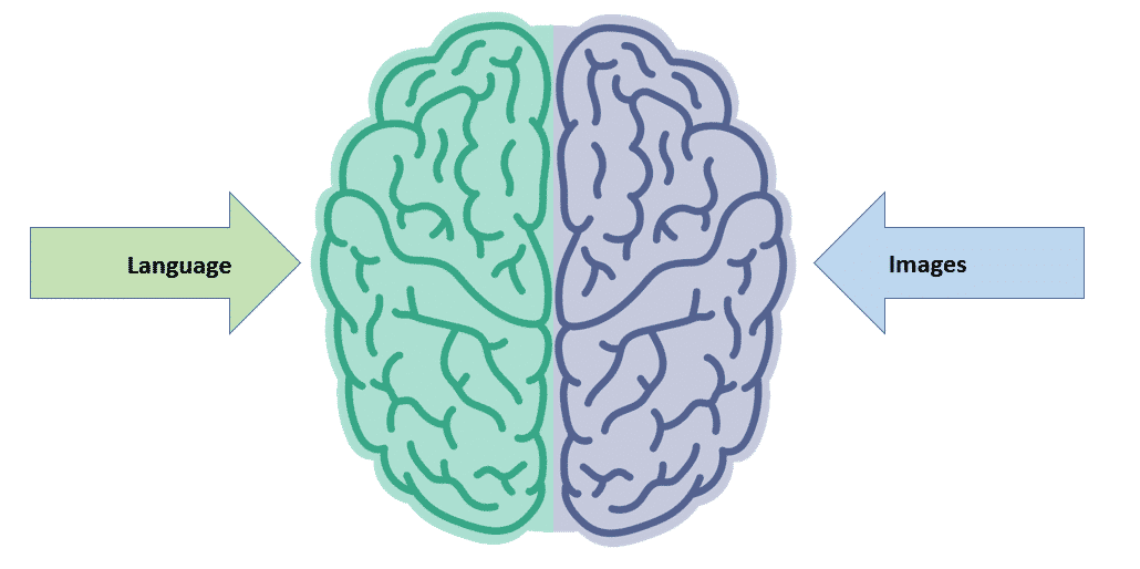 dual core brain image