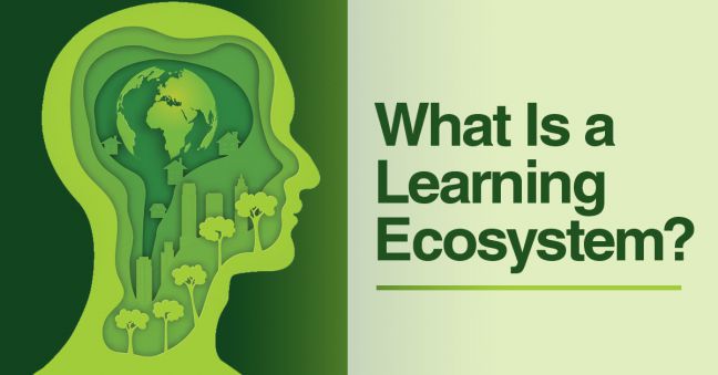 Learning Ecosystem Image