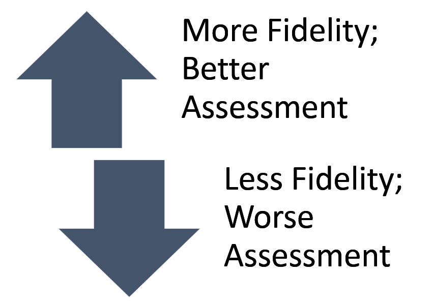 Fidelity and Assessment Image