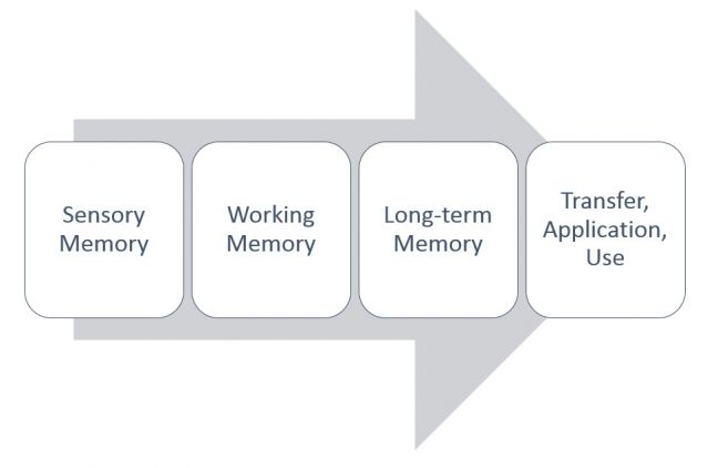 Four Stages of Learning for Paper Manufacturing Training Article Image
