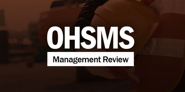 Management Review of an OHSMS Image