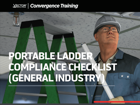 OSHA 1910 General Industry Portable Ladder Compliance Checklist Button
