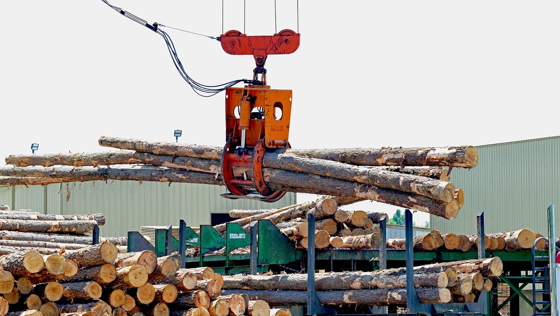 Crane carrying logs in lumber mill yard