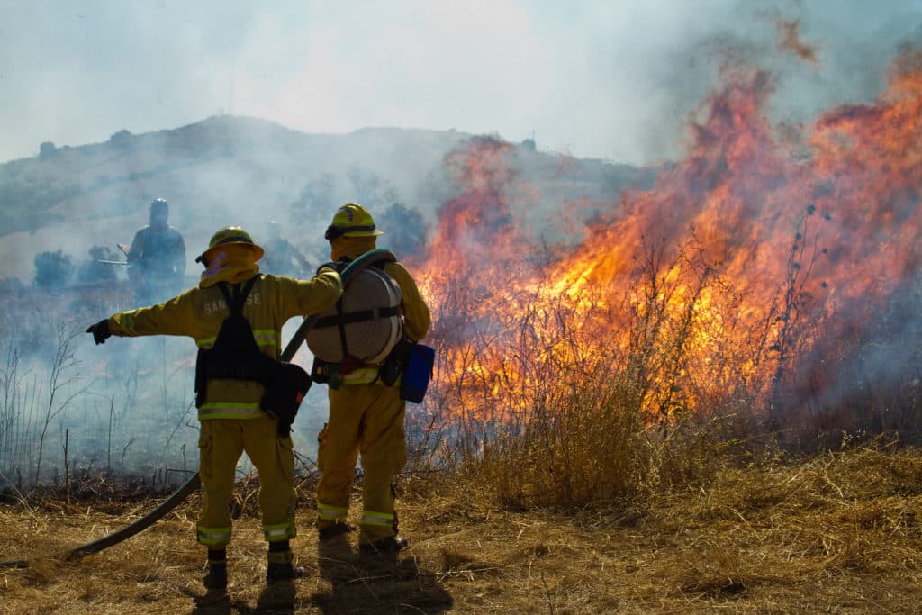 Firefighters fighting wildfire