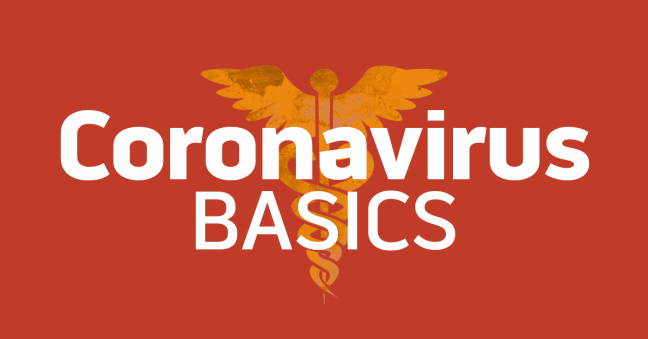 Coronavirus Basics Image