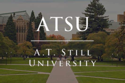 Partnership for Change: Bringing DiversityEdu to A.T. Still University