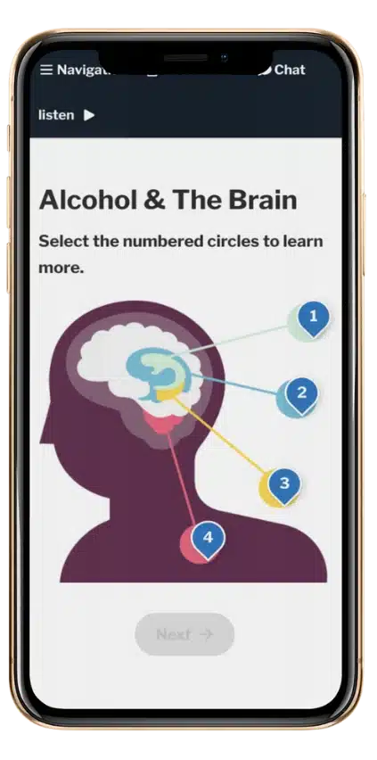 Alcohol-and-The-Brain