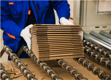 Plant worker assembling corrugated cardboard boxes