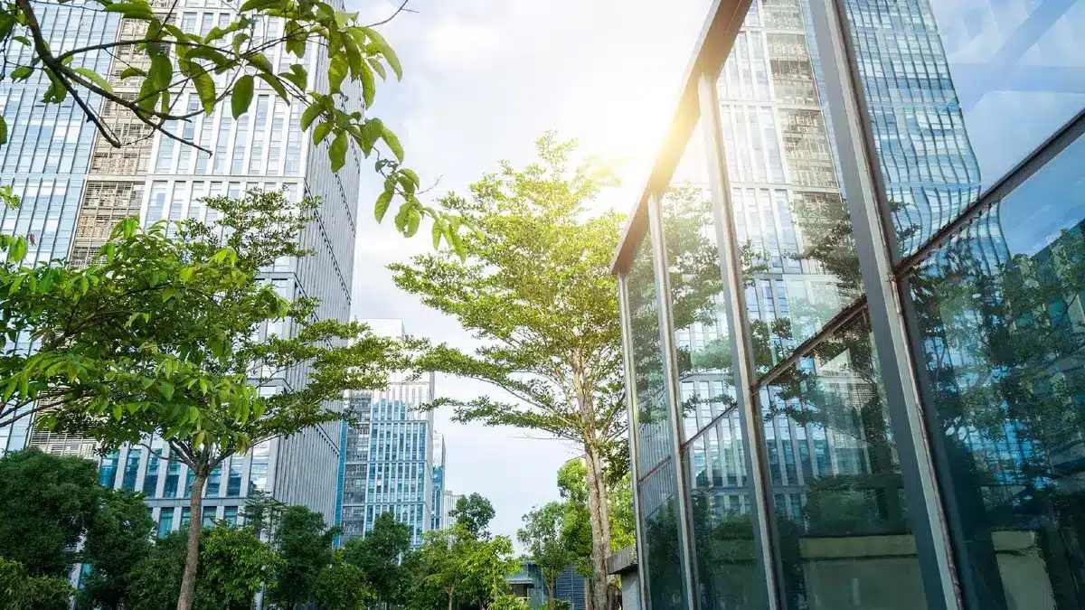 Introduction to Net Zero Carbon Design