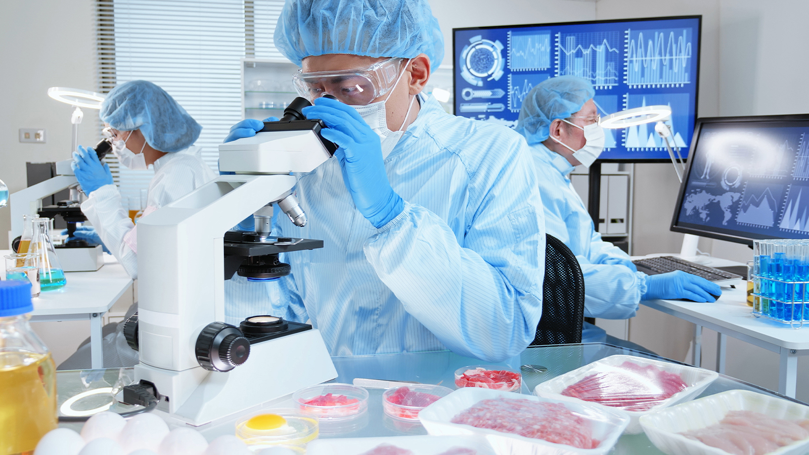 Food Safety Standards Introduction for Schools