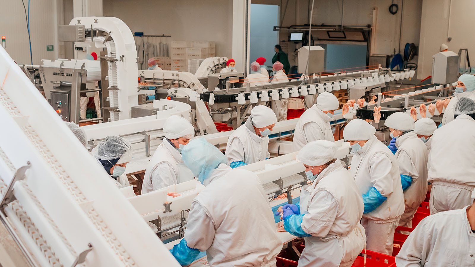 Introduction to Food Safety Modernization Act (FSMA) for Schools