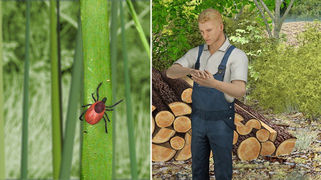 First Aid – Tick Bites for Schools
