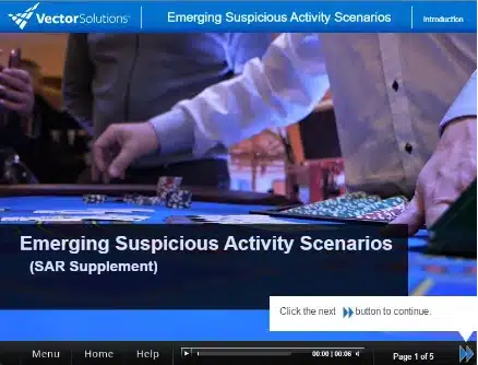 Emerging Suspicious Activity Scenarios (SAR Supplement)